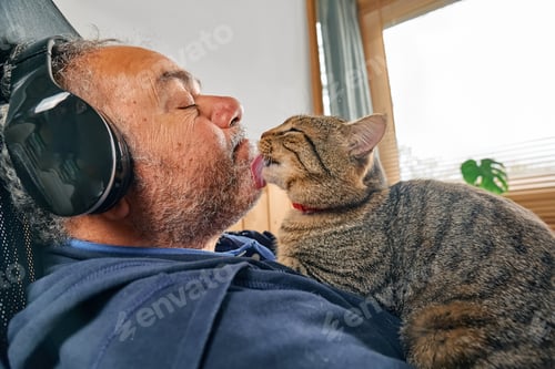 Preview: Tabby cat licking face of bearded man while he listen podcast in headphones.