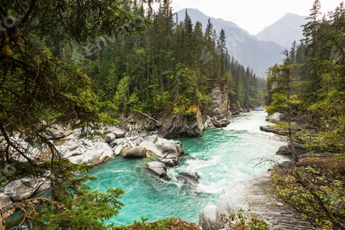 Preview: River in Canada