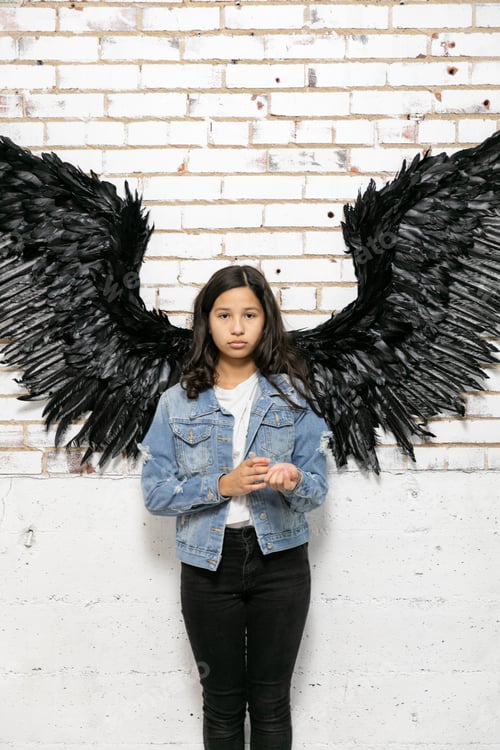 Preview: Girl standing in a wall with black wings