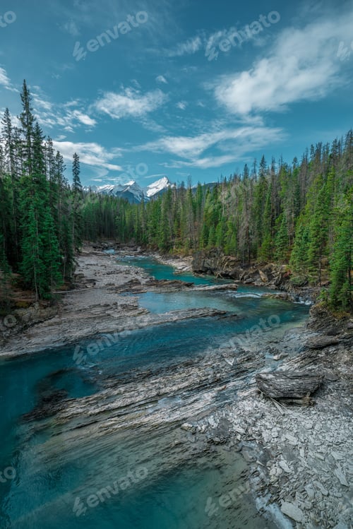 Preview: Vertical shot of a beautiful place in a forest with a river and stones under the calm sky