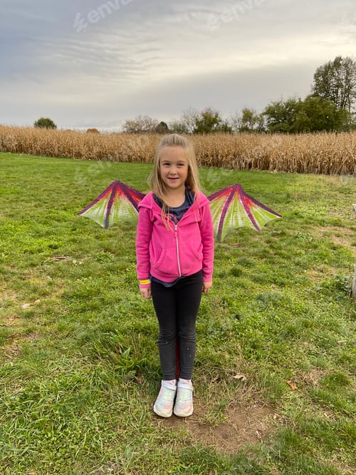 Preview: Dragon wings on a girl