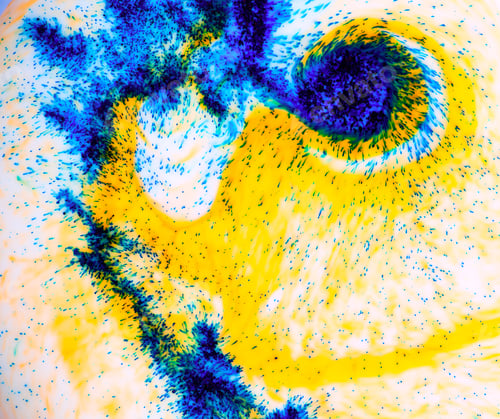 Preview: Abstract multicolor background