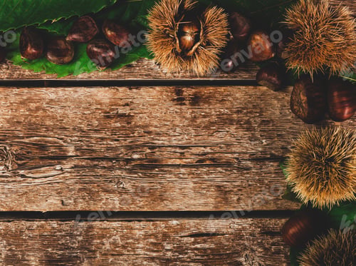 Preview: Frame of chestnuts, leaves and chestnut bur.