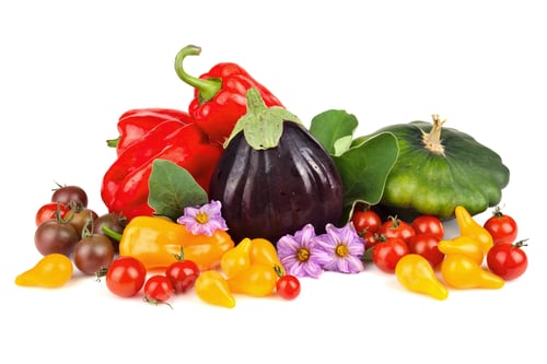 Preview: Group of autumn vegetables