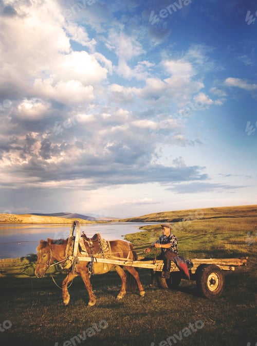 Preview: Man Driving Horse Cart Scenic View Nature Tranquil Concept