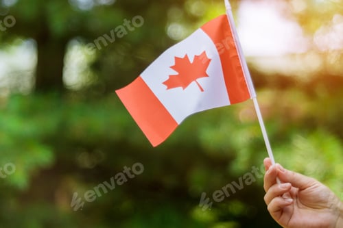 Preview: Female hand holding a Canadian flag to celebrate the Canada Day holiday