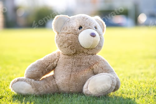 Preview: Cute teddy bear toy sitting on green grass in summer