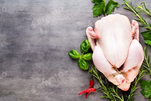 Preview: Fresh chicken meat and vegetables. Flat lay.