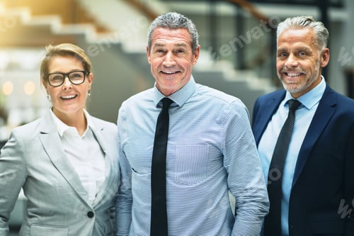 Preview: Mature businessman and smiling colleagues standing together in an office