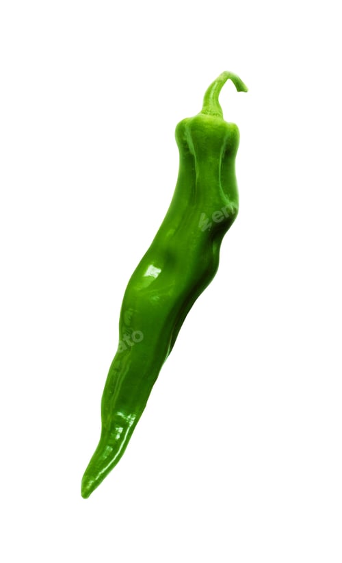 Preview: green pepper isolated