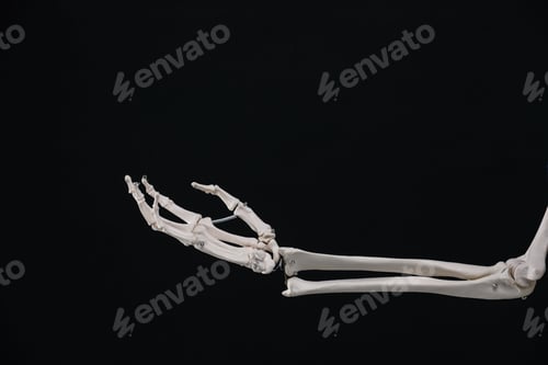 Preview: Artificial human skeleton model on black background, closeup