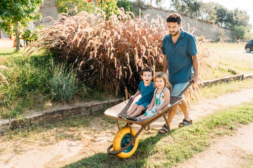 Preview: Father Enjoys Playful Moment Carrying Kids in a Wheelbarrow at a Sunny Garden