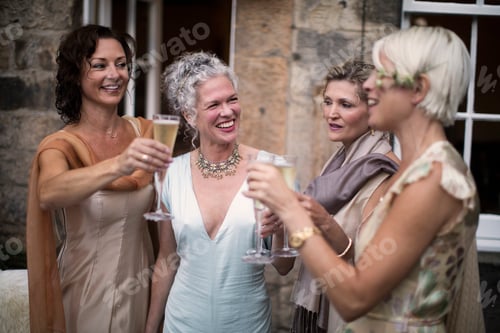 Preview: Elegant mature women enjoying champagne in urban garden