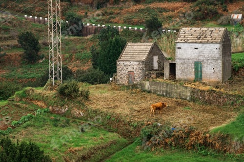 Preview: Countryside landscape