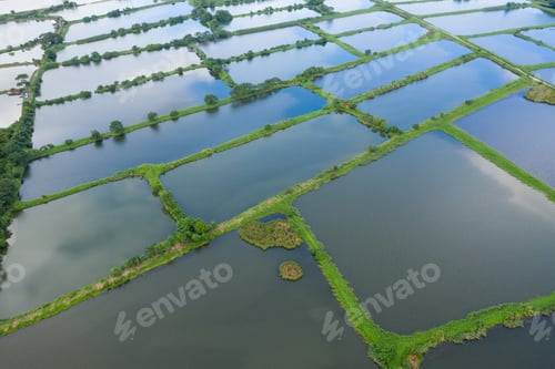 Preview: Aerial view Fish hatchery pond