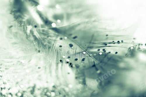 Preview: macro shot of feather and glitter