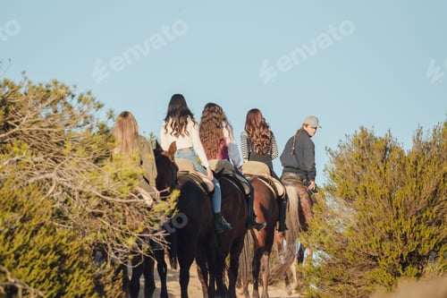 Preview: Group of women riding horses along coniferous bushes