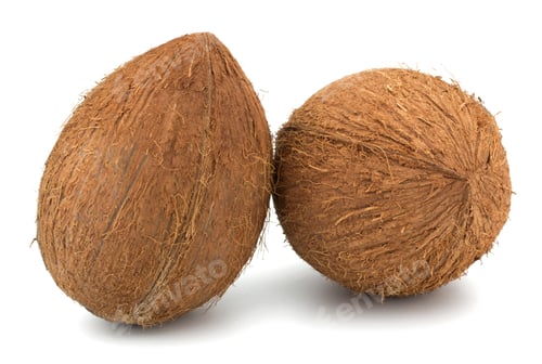 Preview: Coconuts isolated on white background