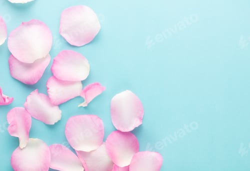 Preview: Rose flowers petals on pastel background. Valentines day background. Flat lay, top view, copy space.