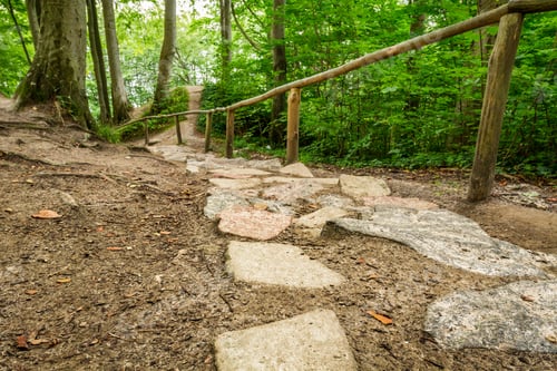 Preview: A stone path leading through the forest on the hill