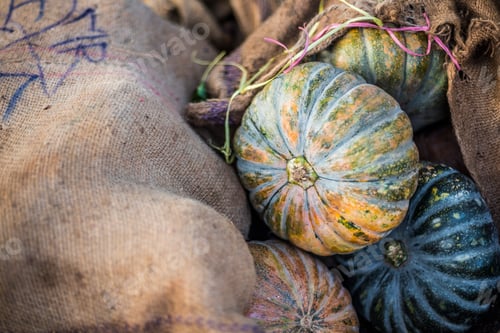 Preview: Vegetables for sale at a food market in Fort Kochi (Cochin), Kerala, India