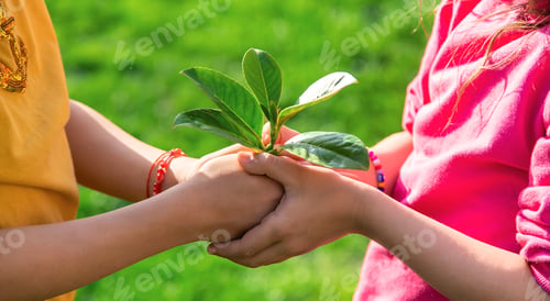 Preview: Children take care of nature tree in their hands. Selective focus.