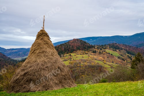 Preview: Haystack in a green meadow in not very good weather
