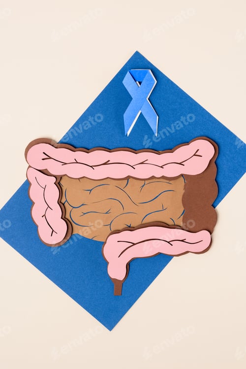 Preview: top view of prostate cancer awareness blue ribbon and human large intestine on blue with beige