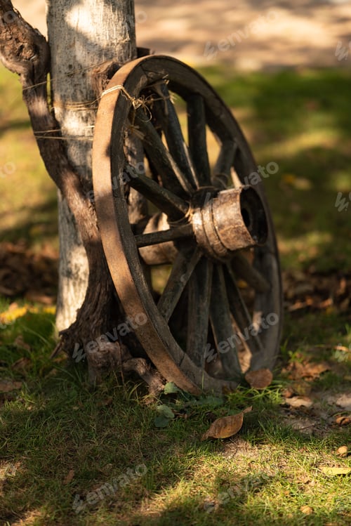 Preview: Wheel of wooden cart