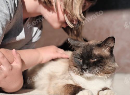 Vista previa: little girl stroking a cat under the evening sun. pet care and togetherness. cat friend