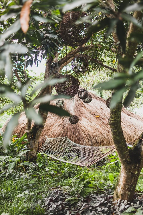 Preview: Hammock in green garden with wicker handmade lamps, tropical Bali style. Rustic style
