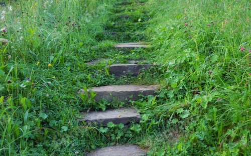 Preview: Stairs and grass in the garden. Design composition