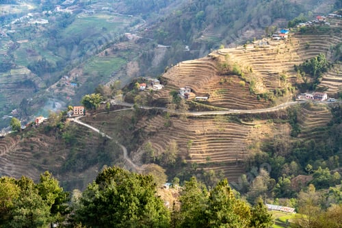 Preview: Aerial view of farming land on a Nepalese hillside