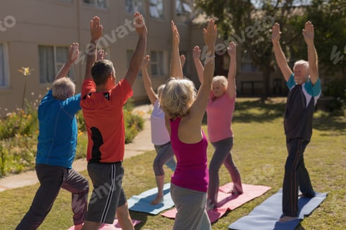 Preview: Rear view of trainer training senior people in performing exercise on yoga mat at park