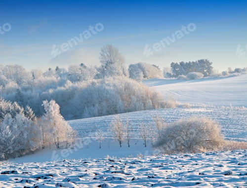 Preview: The sun is shining on this winters day