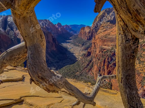 Preview: Hiking in Zion National Park
