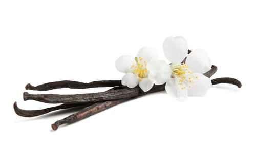 Preview: Aromatic vanilla sticks and flowers on white background