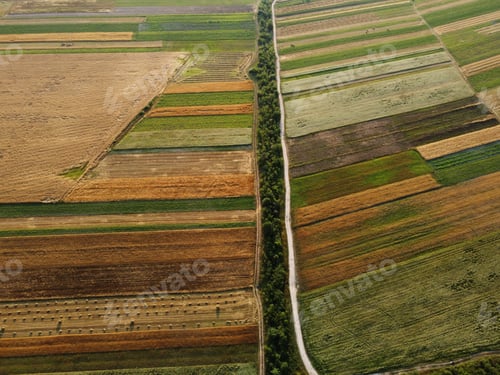 Preview: Aerial view of cultivated green fields and agricultural parcels with gold wheat, straw rolls.