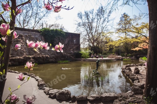 Preview: Beautiful sunny spring day in japanese garden in Budapest