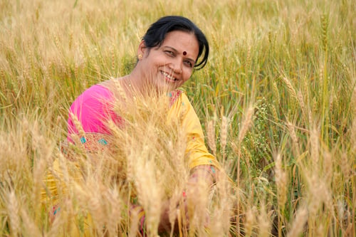 Preview: Beautiful young Indian woman wear in saree at the wheat field