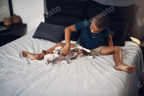 Preview: Shot of an adorable little boy playing with his pet dog on the bed at home