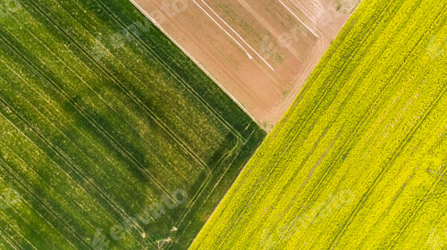 Preview: Colorful patterns in crop fields at farmland, aerial view, drone