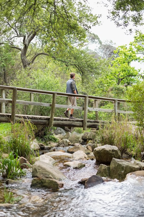 Preview: Man walking across narrow wooden footbridge over rocky stream in wooded park, copy space