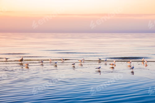 Preview: Beautiful light sunset over Baltic sea. Natural background. Latvia