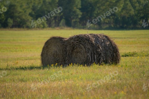 Preview: haystack on the summer field under sunshine, the food for domestic animals