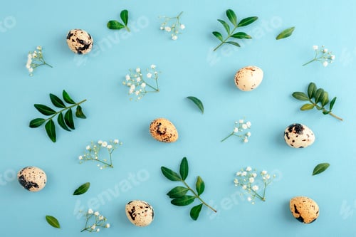 Preview: Spotted quail eggs with green leaves and white flowers on blue pastel background.