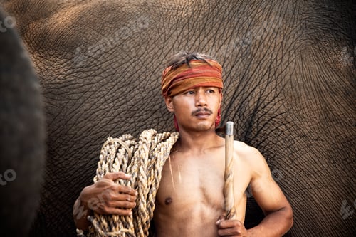 Preview: Portrait of Elephant and mahout in the forest.