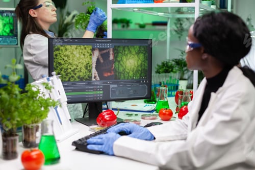 Preview: African american biologist researcher typing biochemistry medical expertise