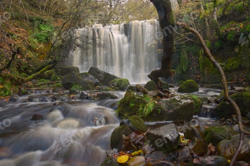 Preview: Long exposure shot of waterfall and a cascade in a forest, cool for background