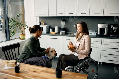 Preview: Happy disabled businesswoman and her coworker with assistance dog during lunch break in office.